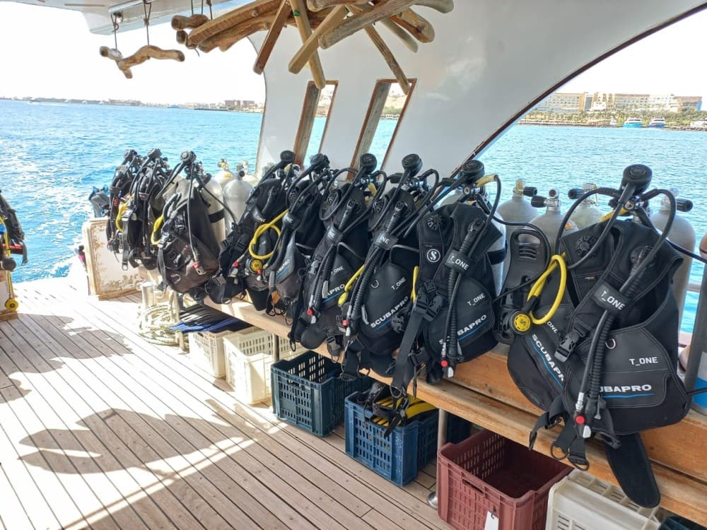 Hurghada: Scuba Diving for Beginners & Certified Divers | ®ExcursionMania - Image 11