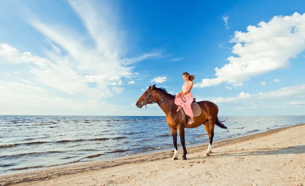 Hurghada: Beach Horse Riding Experience with Swimming Optional | ®ExcursionMania - Image 3