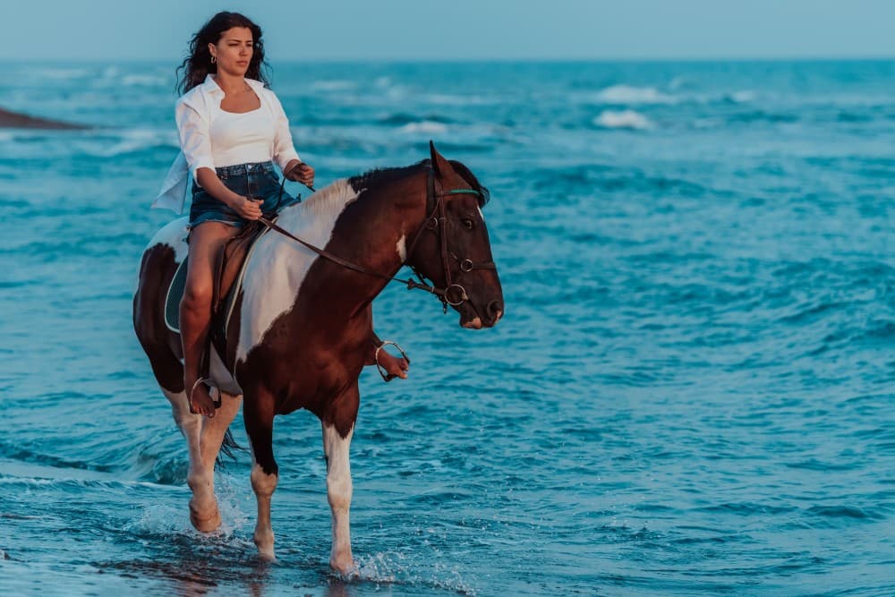 Hurghada: Beach Horse Riding Experience with Swimming Optional | ®ExcursionMania - Image 4