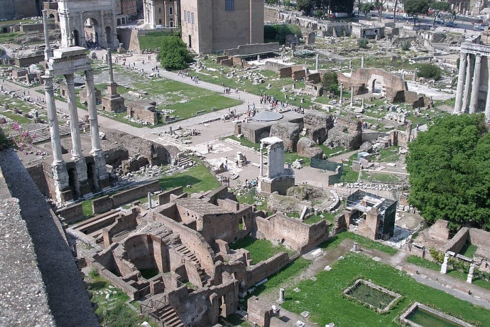 Colosseum, Roman Forum and Palatine Hill Private tour | ®ExcursionMania - Image 6