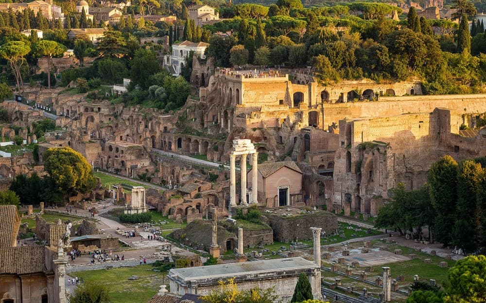 Colosseum, Roman Forum and Palatine Hill Private tour | ®ExcursionMania - Image 8