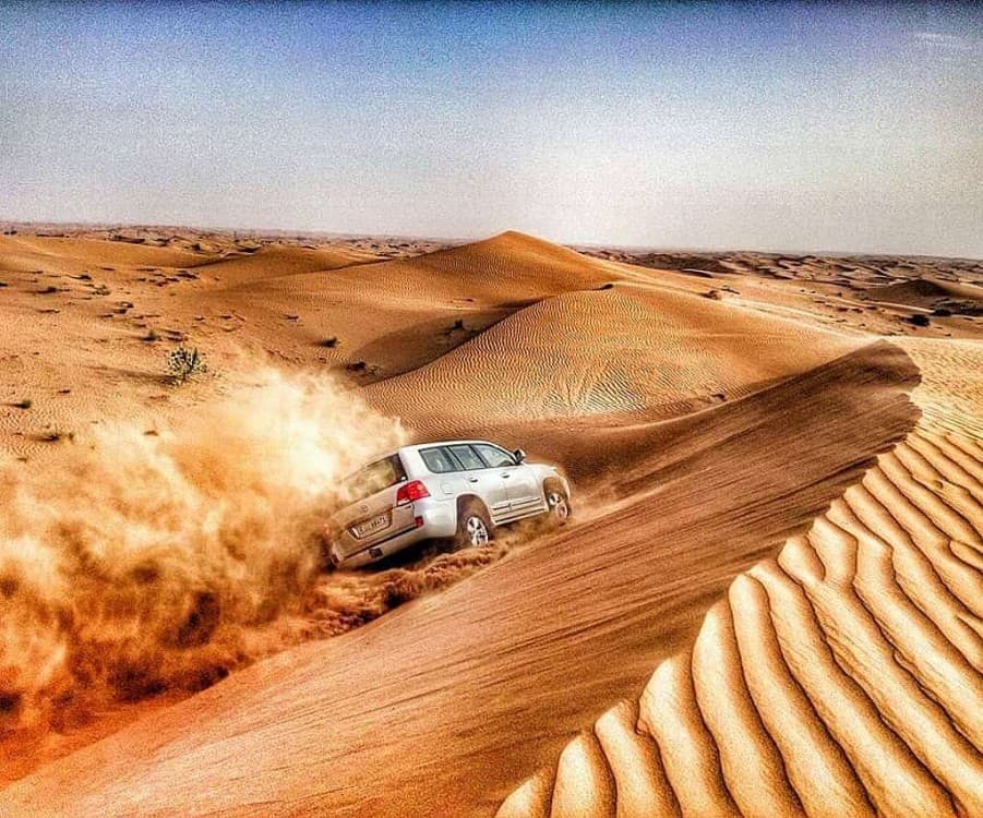 Dubai Red Dune Safari with BBQ Dinner and Camel Ride | ®ExcursionMania - Image 6