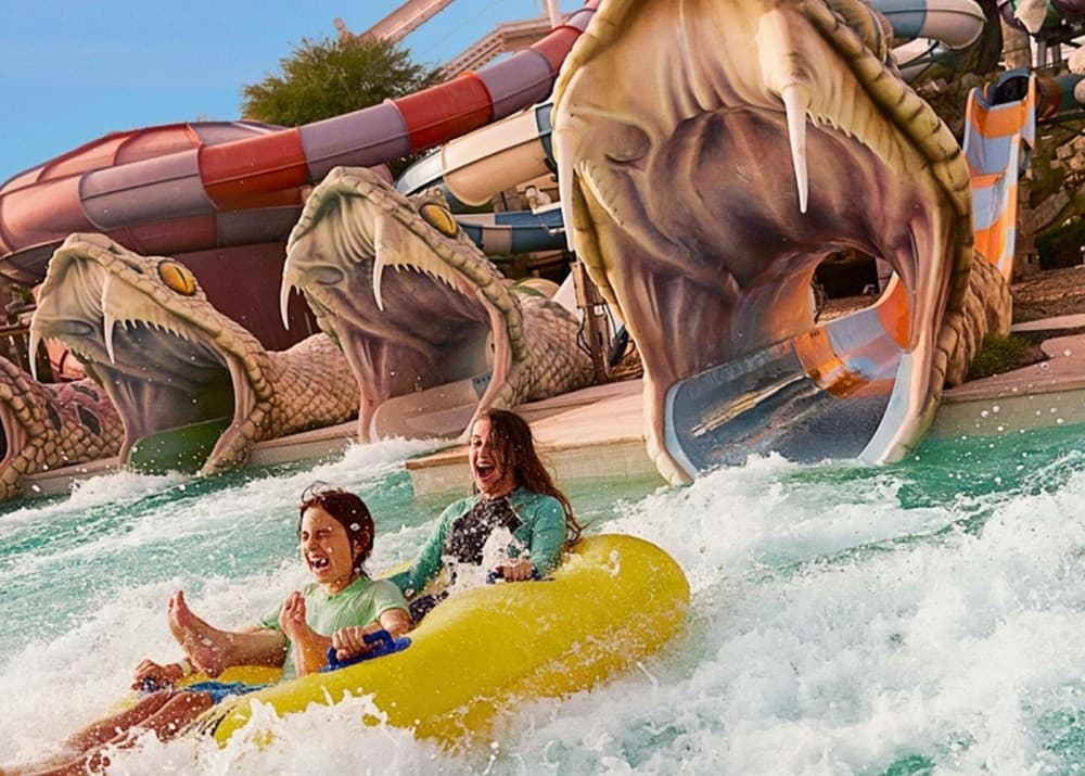 Abu Dhabi: Ferrari World Warner Bro Water World Sea World Best Options | ®ExcursionMania - Image 8