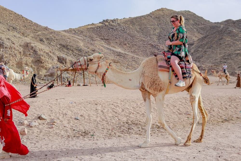 Hurghada Super Quad, Spider Car, Dinner, Show and Free shopping | ®ExcursionMania - Image 1