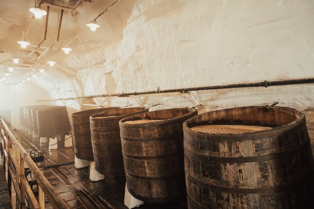 Pilsen: Pilsner Urquell Brewery Tour with Beer Tasting | ®ExcursionMania - Image 8