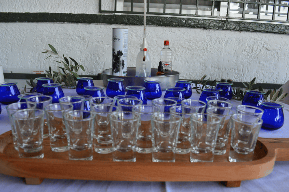 Olives, Olive Oil Tasting and Wine Tasting with Lunch | ®ExcursionMania - Image 4