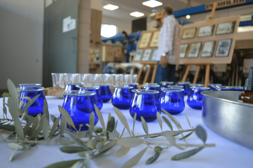 Olives, Olive Oil Tasting and Wine Tasting with Lunch | ®ExcursionMania - Image 6