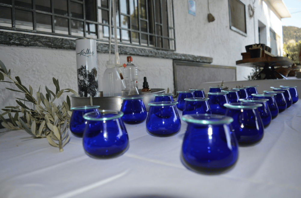 Olives, Olive Oil Tasting and Wine Tasting with Lunch | ®ExcursionMania - Image 8