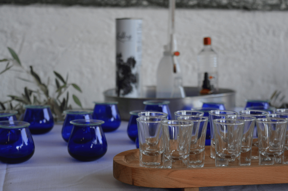 Olives, Olive Oil Tasting and Wine Tasting with Lunch | ®ExcursionMania - Image 10