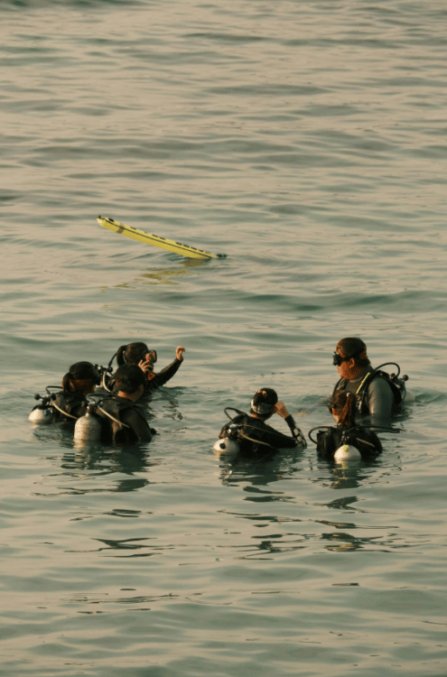 Scuba Diving in Rhodes | ®ExcursionMania - Image 1