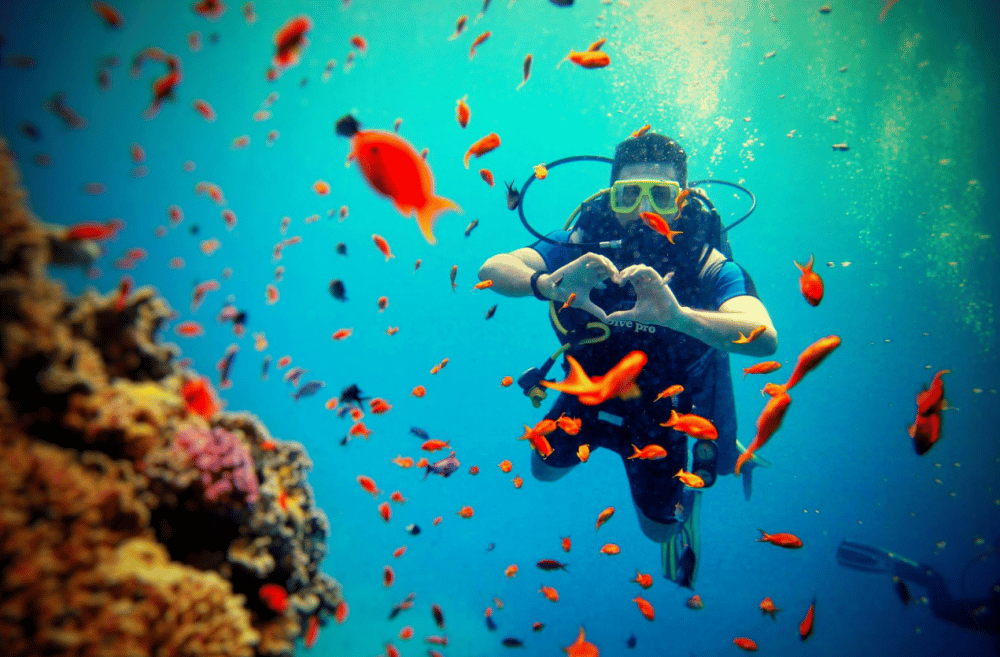 Scuba Diving in Rhodes | ®ExcursionMania - Image 4