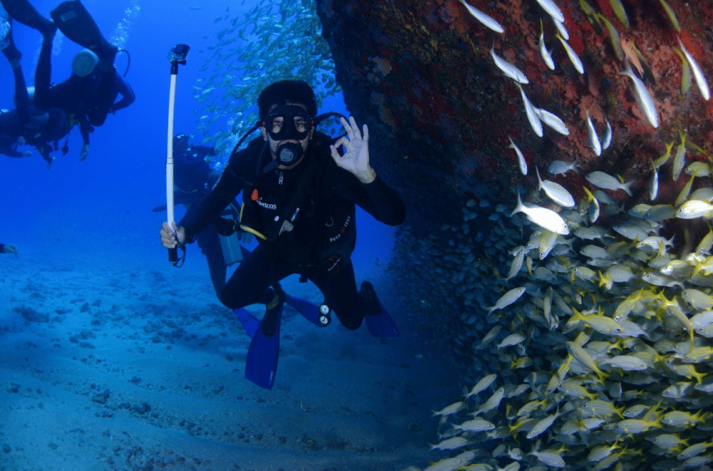 Scuba Diving in Rhodes | ®ExcursionMania - Image 10