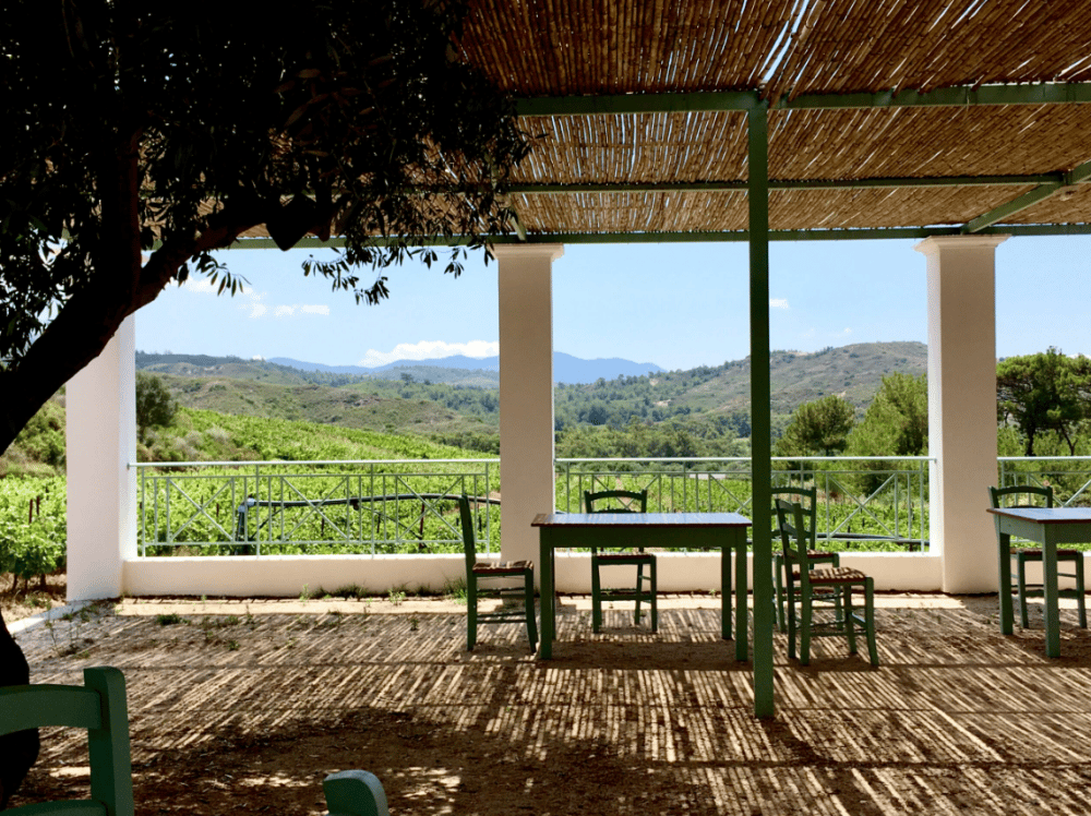 Greek Cooking Class and Wine Tasting in Rhodes | ®ExcursionMania - Image 7