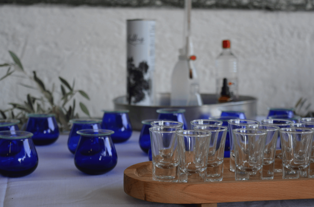 Olives & Olive Oil Tasting + Wine tasting (3 in 1 Experience) | ®ExcursionMania - Image 6