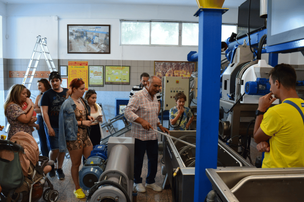 Olives & Olive Oil Tasting + Wine tasting (3 in 1 Experience) | ®ExcursionMania - Image 7