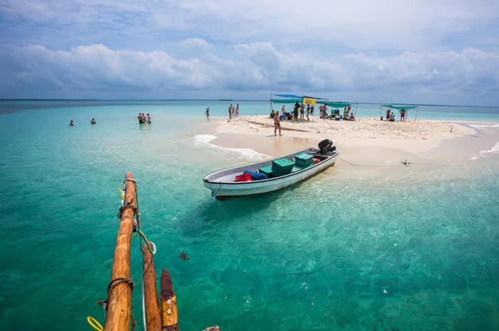 Zanzibar: Small Group Safari Blue & Starfish Snorkeling Tour | ®ExcursionMania - Image 2