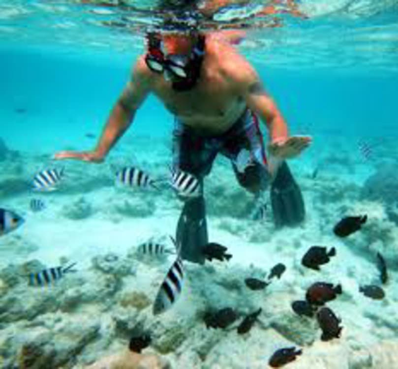 Zanzibar: Small Group Safari Blue & Starfish Snorkeling Tour | ®ExcursionMania - Image 3