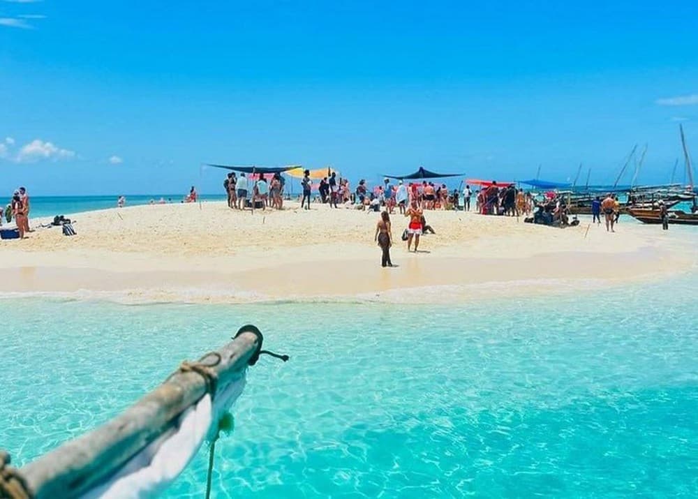 Zanzibar: Small Group Safari Blue & Starfish Snorkeling Tour | ®ExcursionMania - Image 8