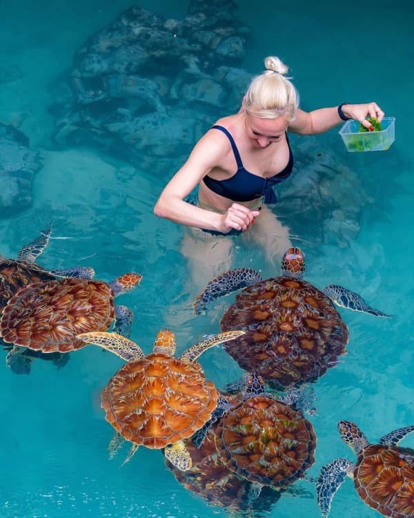 Zanzibar: Jozani Forest and Salaam Cave Guided Tour | ®ExcursionMania - Image 3