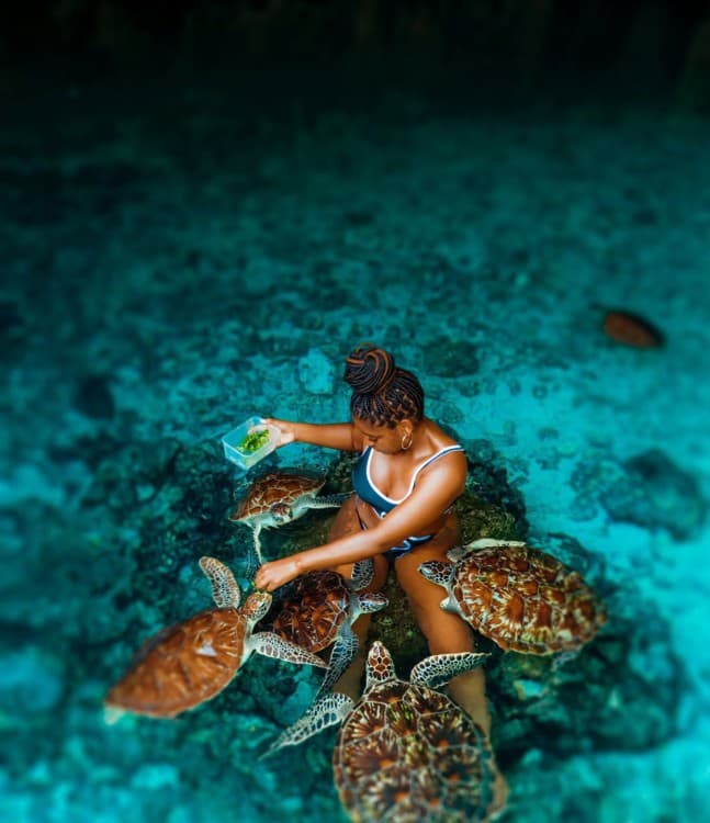 Zanzibar: Jozani Forest and Salaam Cave Guided Tour | ®ExcursionMania - Image 5