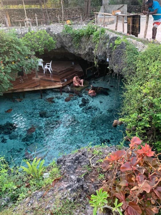 Zanzibar: Jozani Forest and Salaam Cave Guided Tour | ®ExcursionMania - Image 6