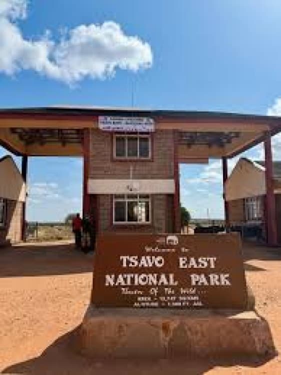 2 days 1 night Tsavo Express | ®ExcursionMania - Image 6