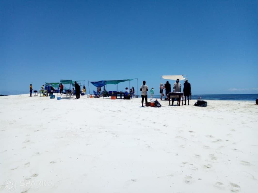 Zanzibar: Pungume Sandbank snorkeling tour, BBQ lunch & Hotel pick up | ®ExcursionMania - Image 1
