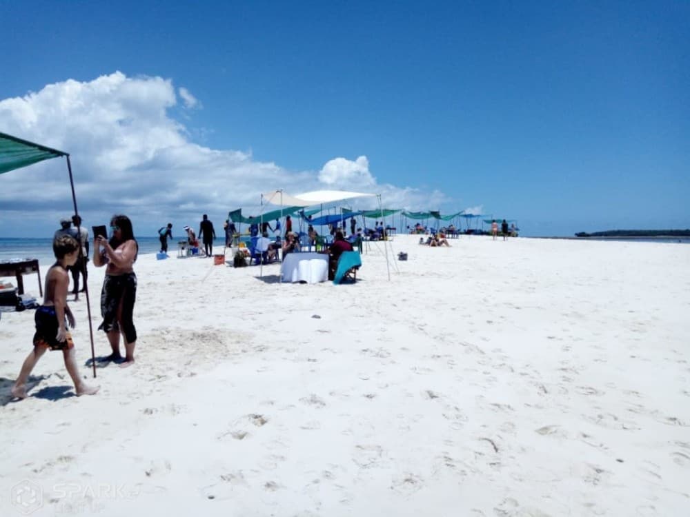 Zanzibar: Pungume Sandbank snorkeling tour, BBQ lunch & Hotel pick up | ®ExcursionMania - Image 3