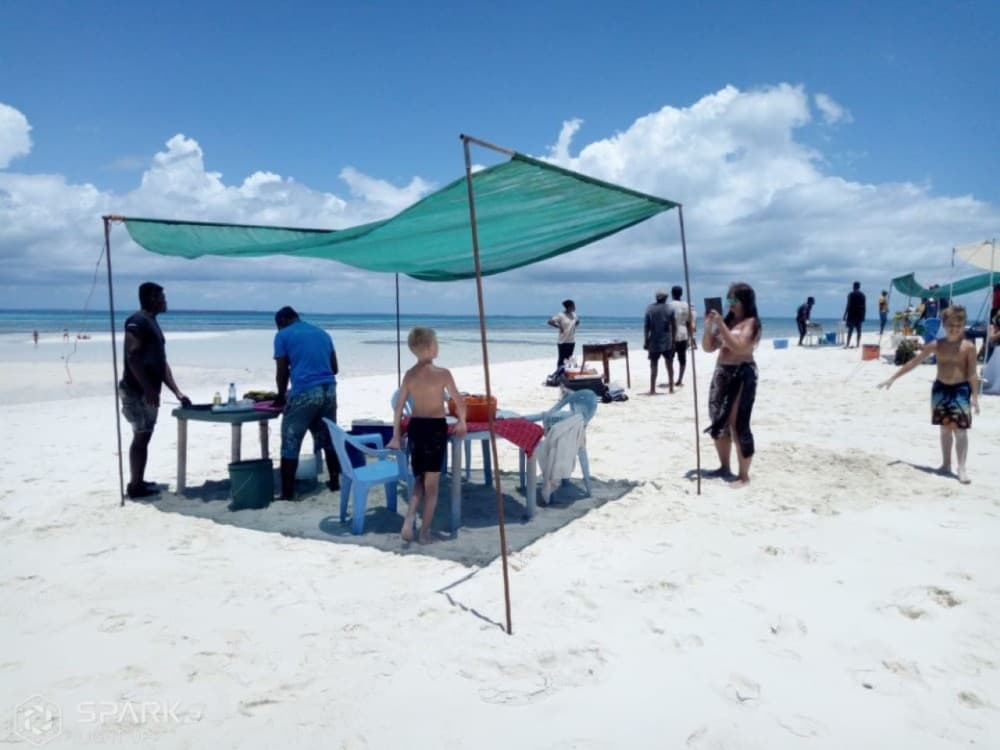 Zanzibar: Pungume Sandbank snorkeling tour, BBQ lunch & Hotel pick up | ®ExcursionMania - Image 5