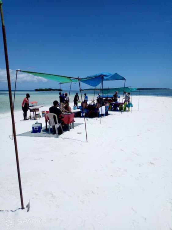 Zanzibar: Pungume Sandbank snorkeling tour, BBQ lunch & Hotel pick up | ®ExcursionMania - Image 11