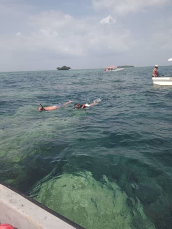 Zanzibar: Pungume Sandbank snorkeling tour, BBQ lunch & Hotel pick up | ®ExcursionMania - Image 12