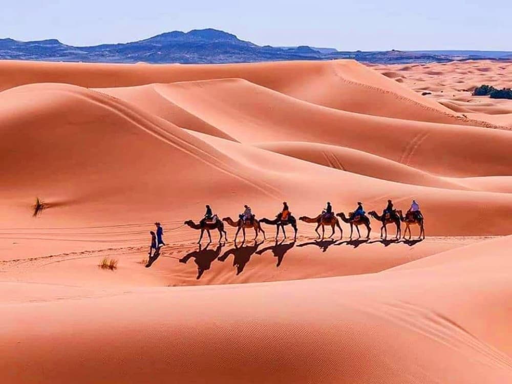 Merzouga Camel riding & Overnight stay in Luxury Camp | ®ExcursionMania - Image 3