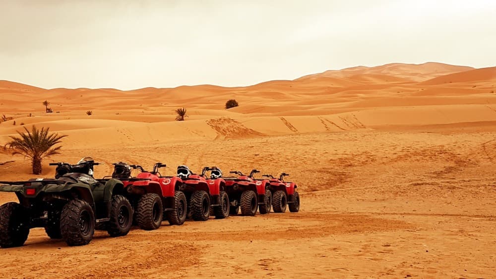 Merzouga Camel riding & Overnight stay in Luxury Camp | ®ExcursionMania - Image 4