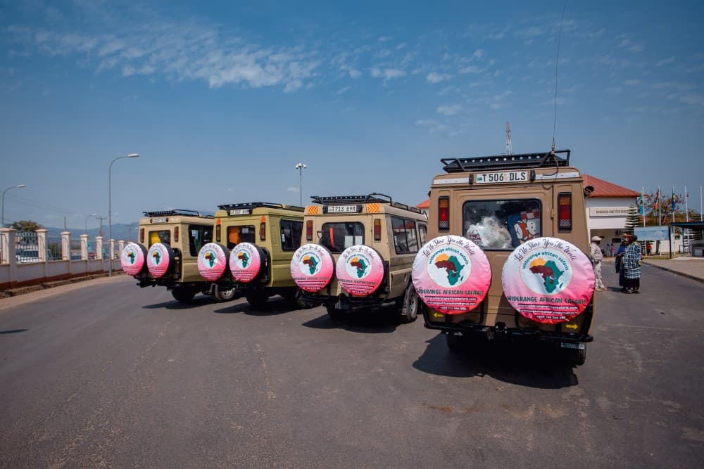 3 Tage Mikumi-Safari ab Sansibar | Wildtiersafaris in Tansania