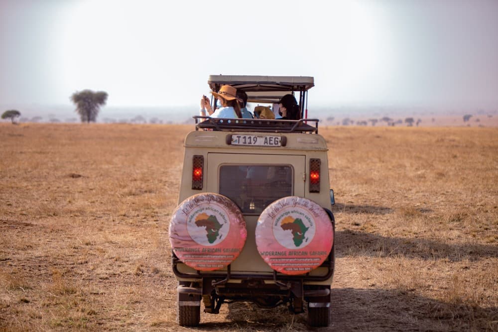 3 Tage Mikumi-Safari ab Sansibar | Wildtiersafaris in Tansania | ®ExcursionMania - Image 2