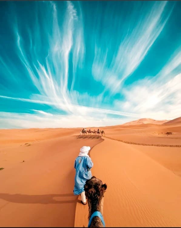 Von Casablanca: 6-tägige Wüstentour nach Marralech über Chefchaouen | ®ExcursionMania - Image 6