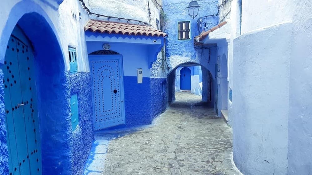 Von Casablanca: 6-tägige Wüstentour nach Marralech über Chefchaouen | ®ExcursionMania - Image 7