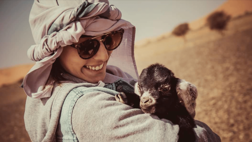 9-tägige Marokko-Reise von Casablanca über Chefchaouen und die Sahara | ®ExcursionMania - Image 1