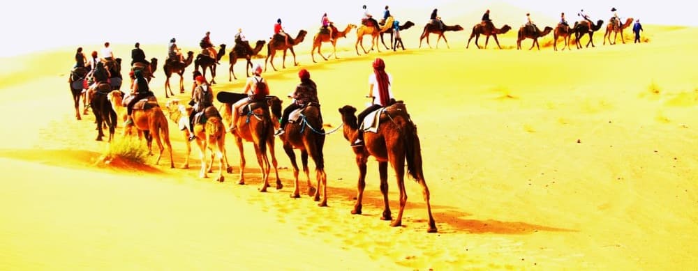 9-tägige Marokko-Reise von Casablanca über Chefchaouen und die Sahara | ®ExcursionMania - Image 2