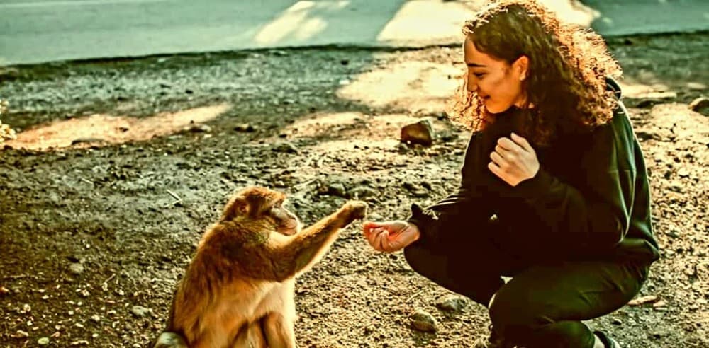 9-tägige Marokko-Reise von Casablanca über Chefchaouen und die Sahara | ®ExcursionMania - Image 5