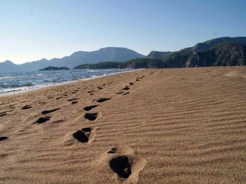 Didim Dalyan & Turtle Beach Tour: Mud Baths Turtles and More | ®ExcursionMania - Image 5