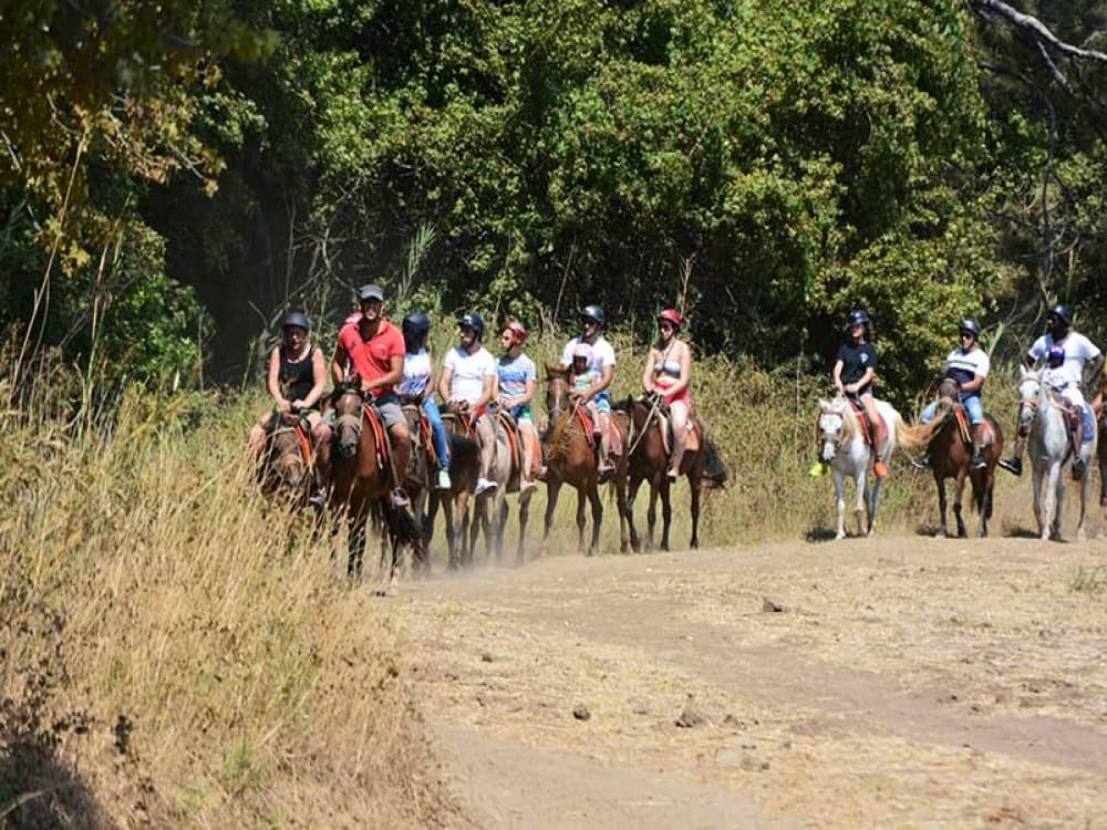 Didim Horse Safari: Saddle Up for Adventure | ®ExcursionMania - Image 5