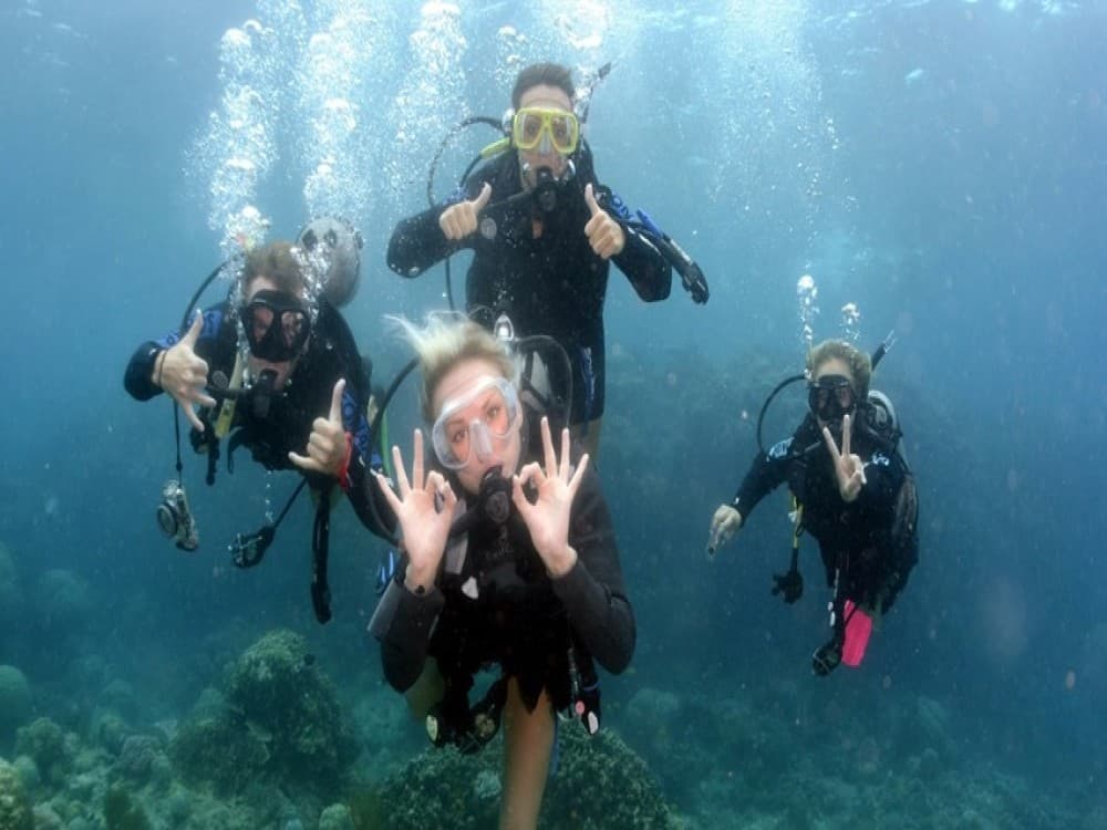 Didim Scuba Diving: Dive into the Blue Aegean Waters | ®ExcursionMania - Image 1