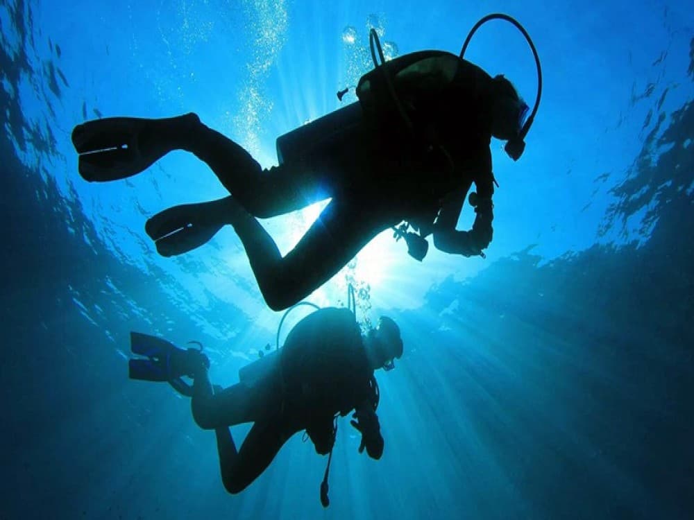 Didim Scuba Diving: Dive into the Blue Aegean Waters | ®ExcursionMania - Image 2
