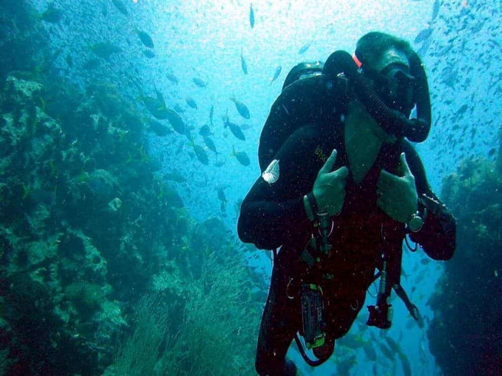 Didim Scuba Diving: Dive into the Blue Aegean Waters | ®ExcursionMania - Image 3