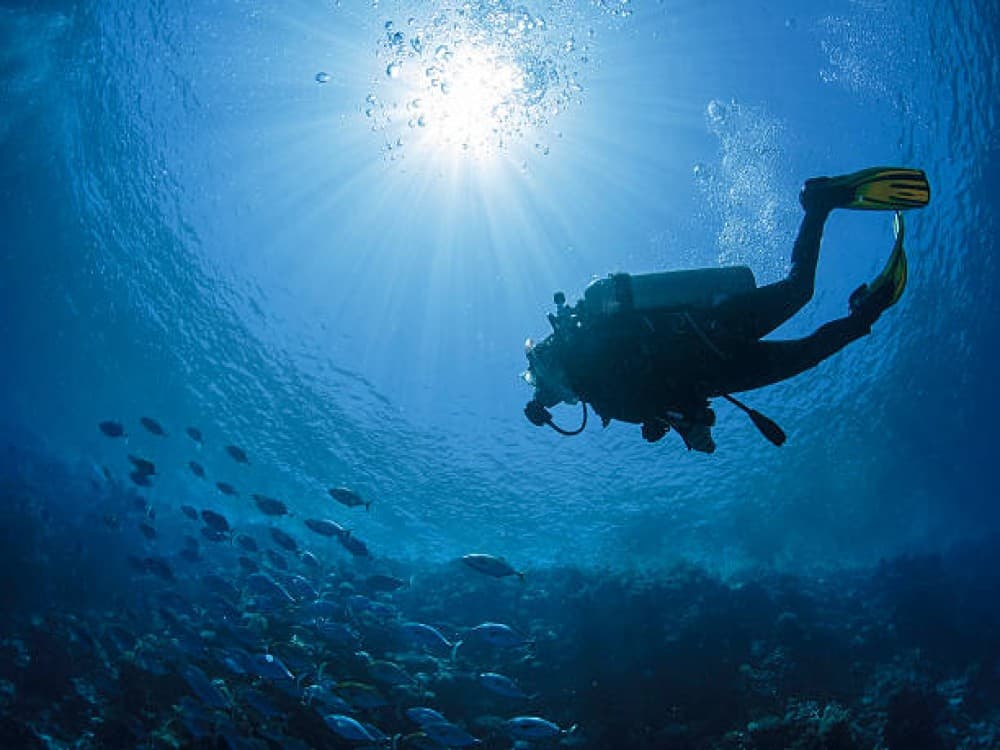 Didim Scuba Diving: Dive into the Blue Aegean Waters | ®ExcursionMania - Image 6