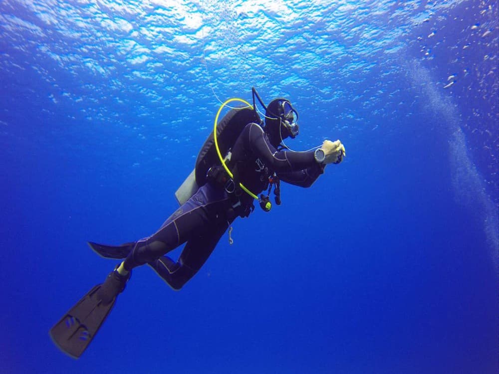 Didim Scuba Diving: Dive into the Blue Aegean Waters | ®ExcursionMania - Image 7