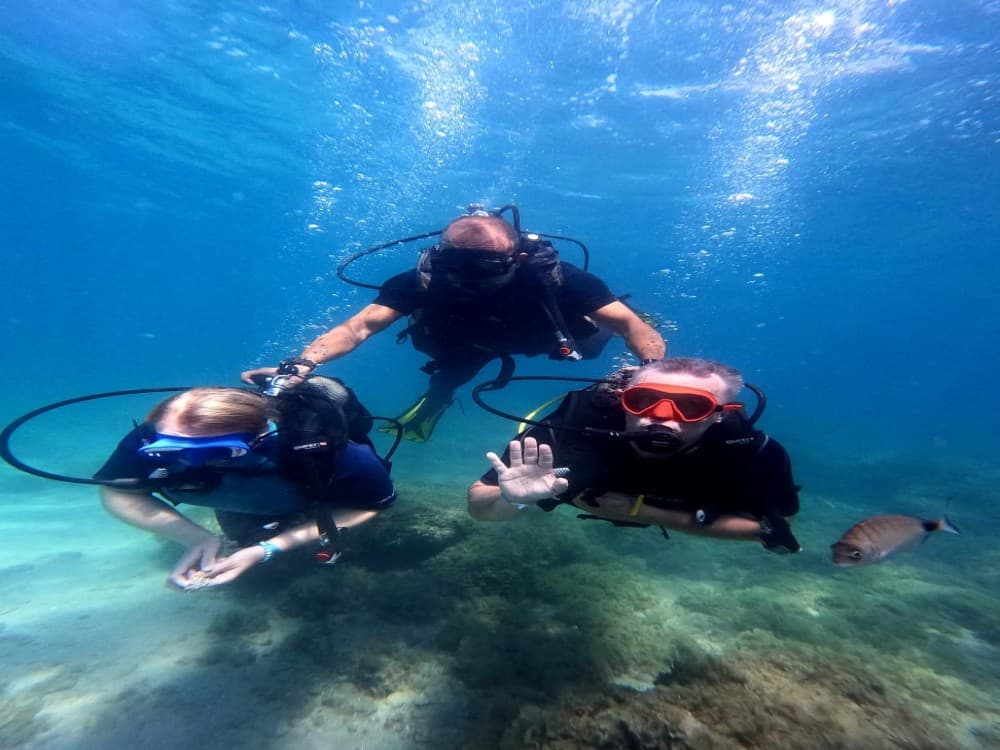 Didim Scuba Diving: Dive into the Blue Aegean Waters | ®ExcursionMania - Image 11