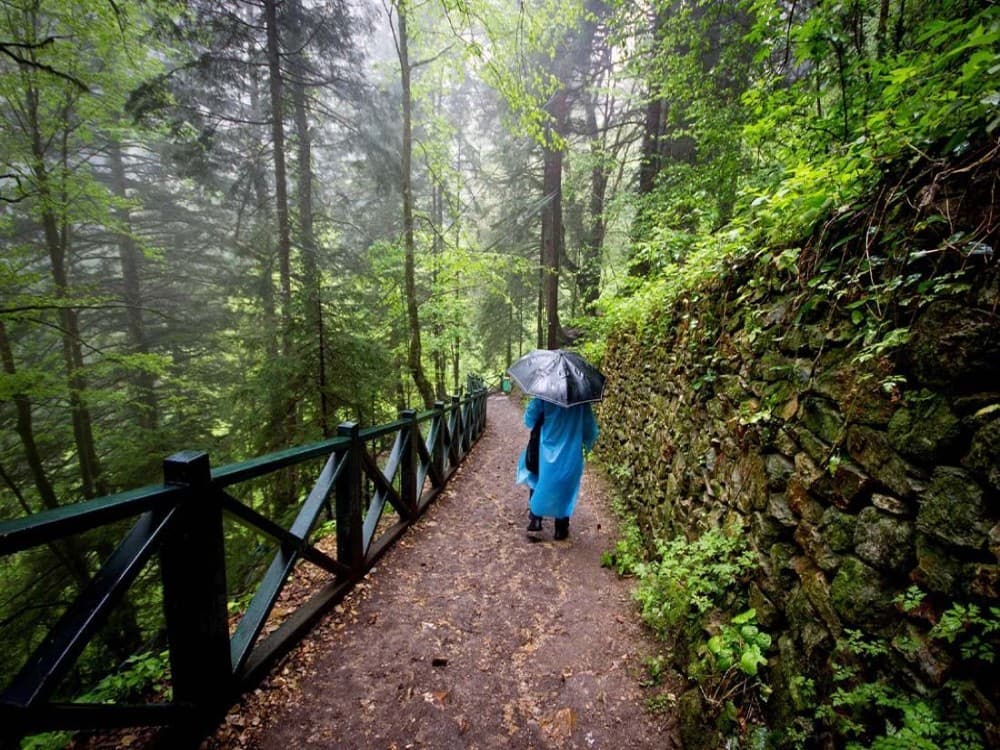 Discover the Beauty of Sumela Monastery and Beyond | ®ExcursionMania - Image 4