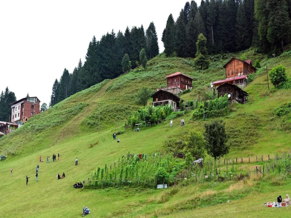 Trabzon: Ayder Tour  Kackar Mountains  Firtina Valley | ®ExcursionMania - Image 5